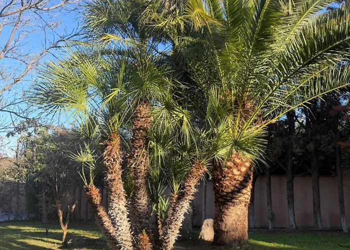 Montesión 71 - Casa Con Piscina&jardín, Al Lado De Puy Du Fou *